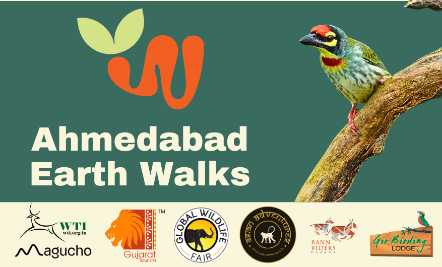 Ahmedabad Earth Walk