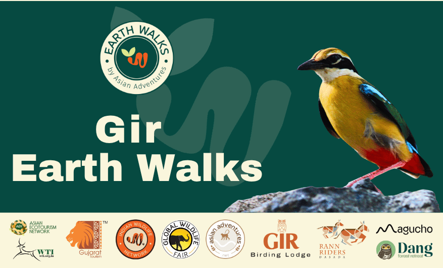 Copy of Earth Walk banners