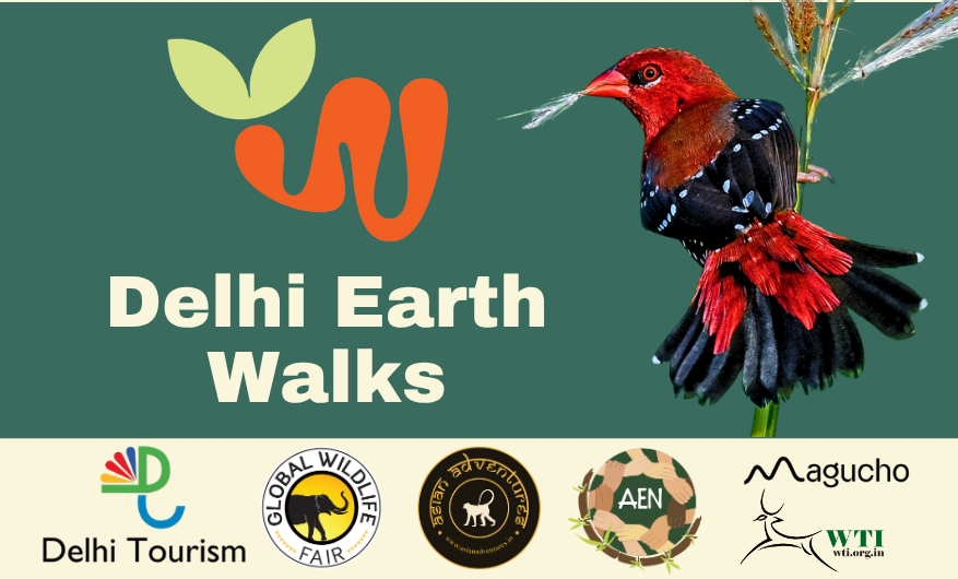 Delhi Earth Walk