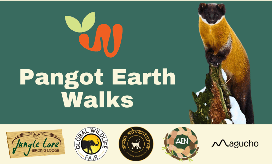 Pangot Earth Walk banners