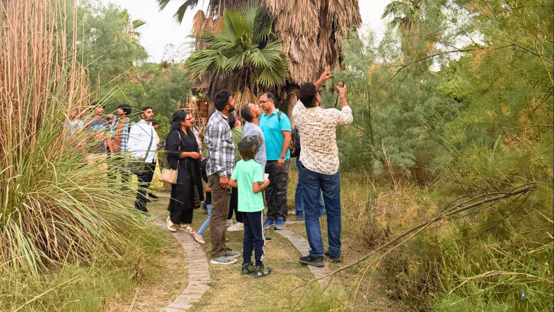 Bat walk in Delhi