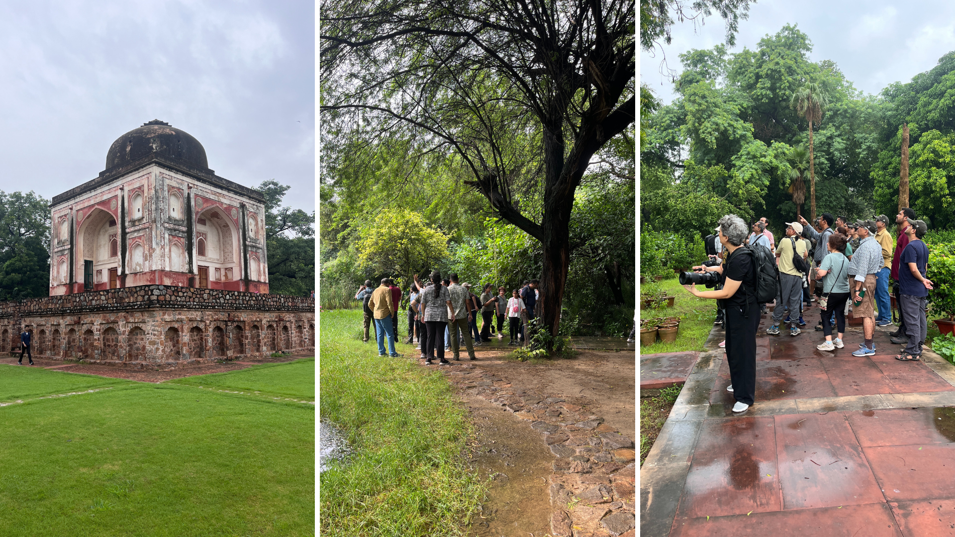 Delhi Earth Walks