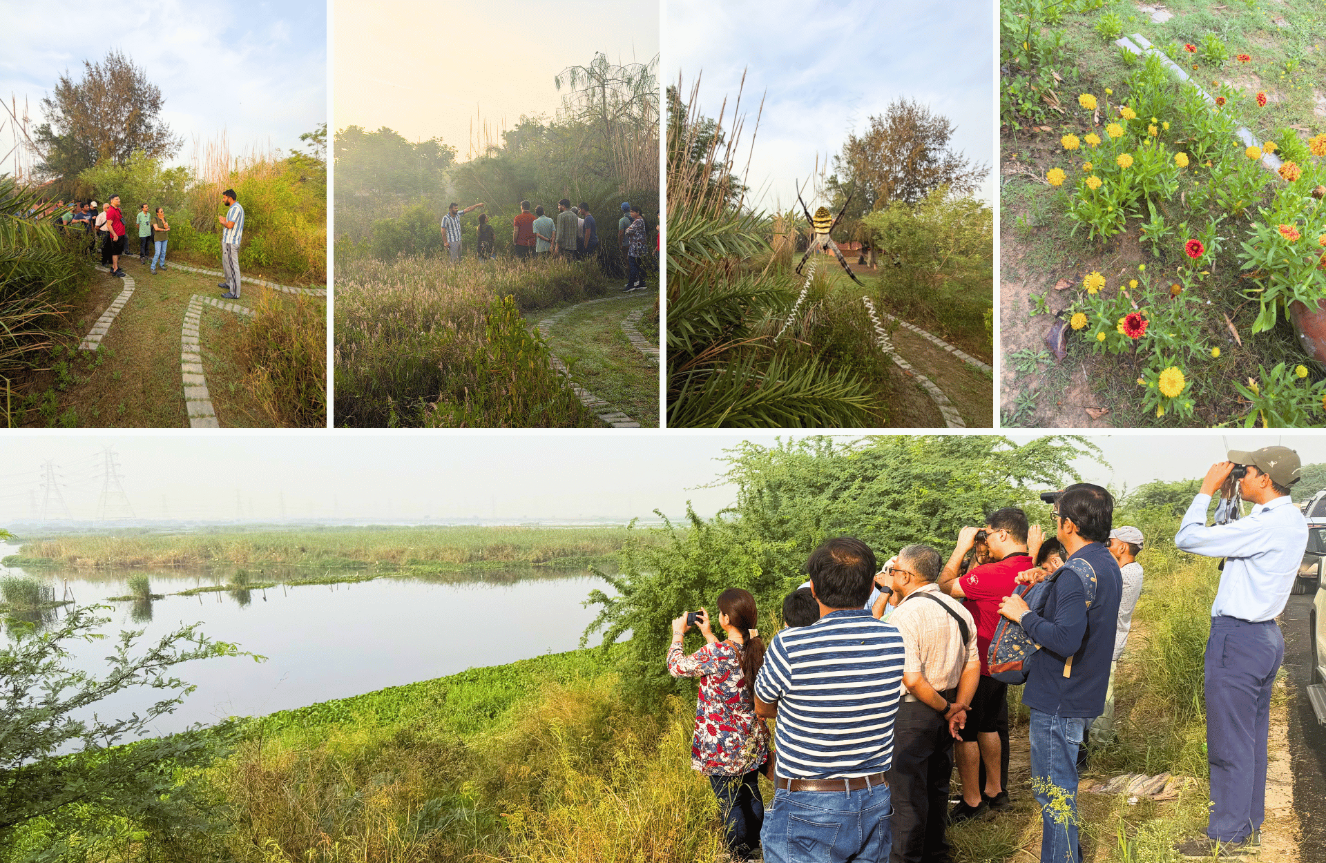 Earth Walks In Delhi