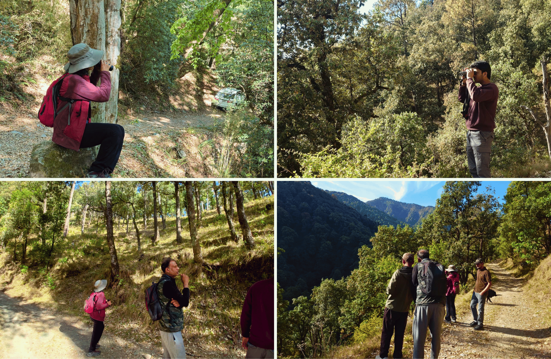 Earth Walks In pangot