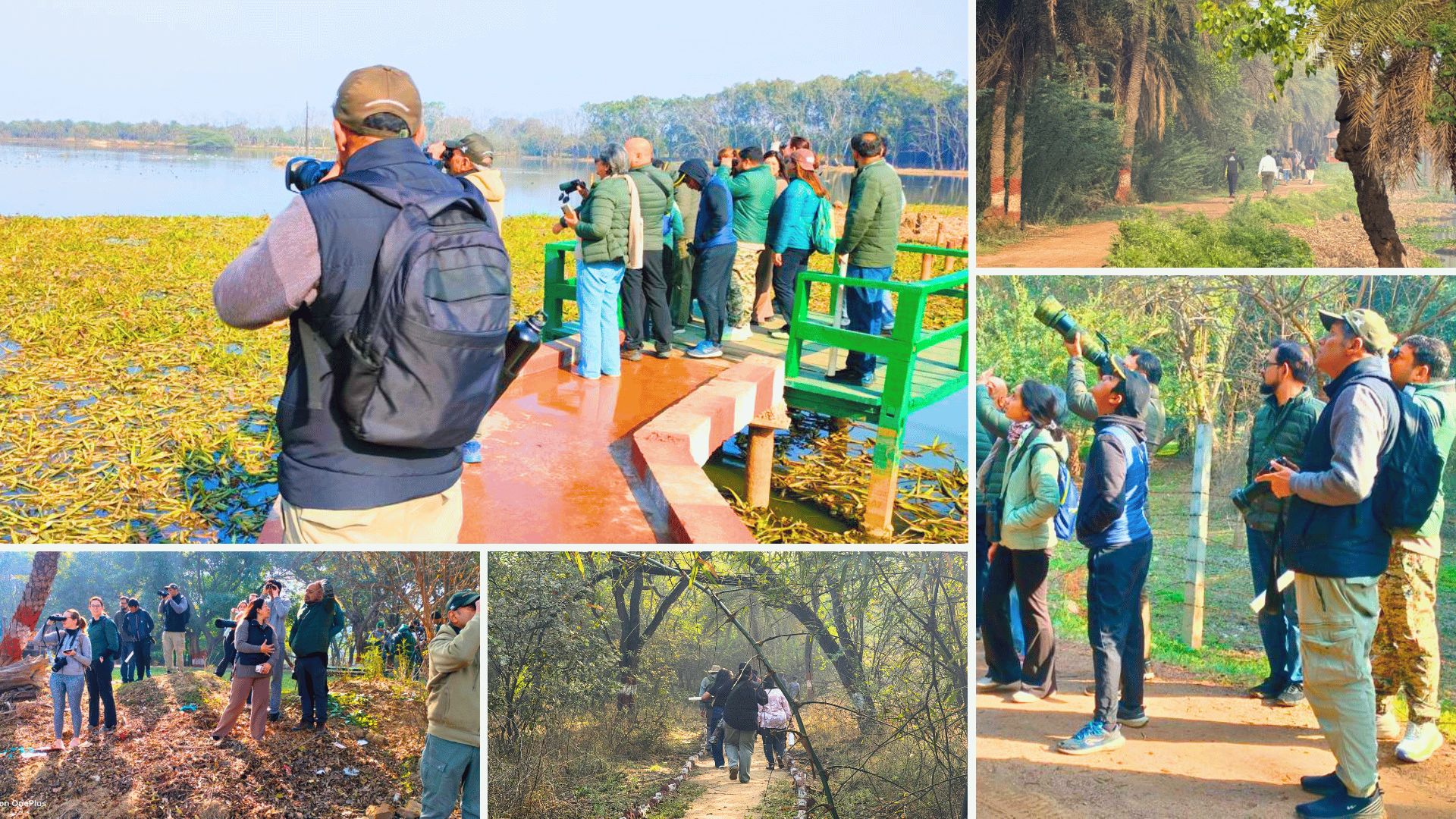 Earth-Walks-in-Surajpur-wetland