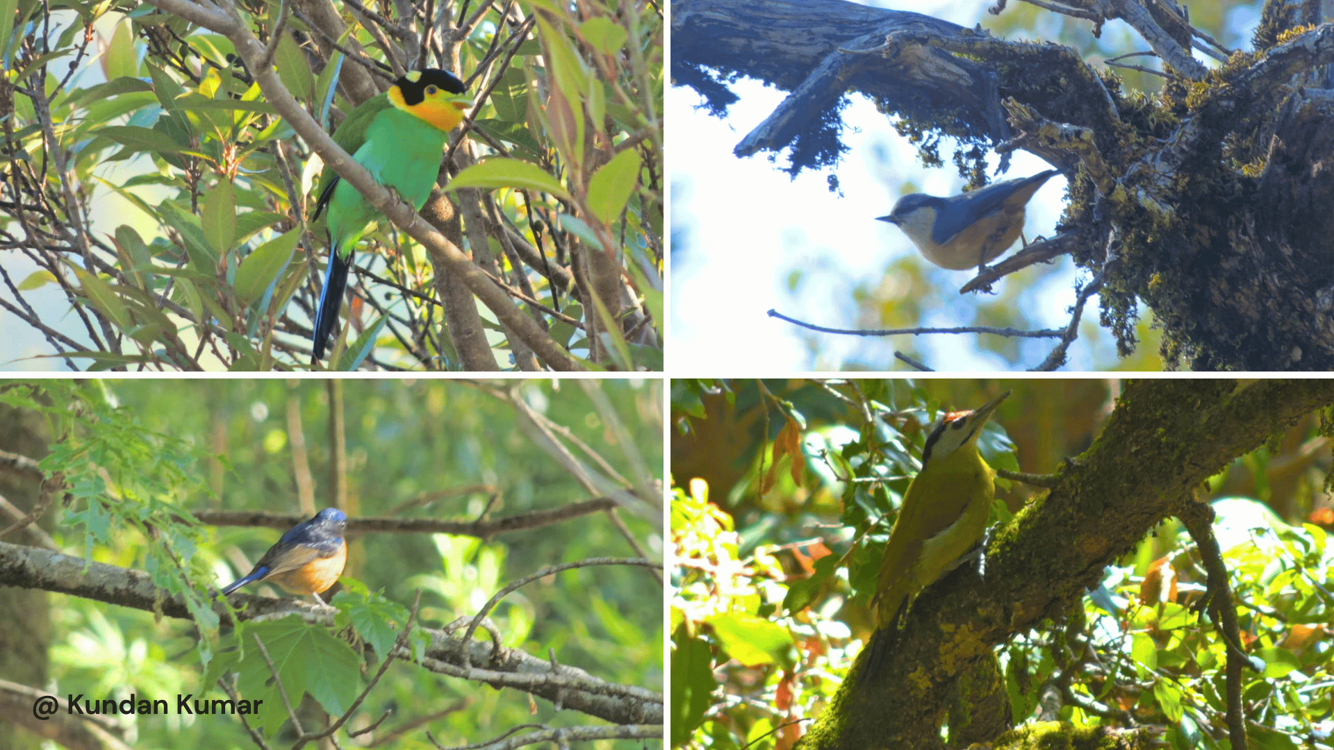 Earth-Walks-in-pangot