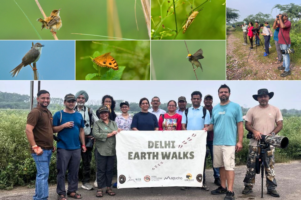 Surajpur Earth Walks