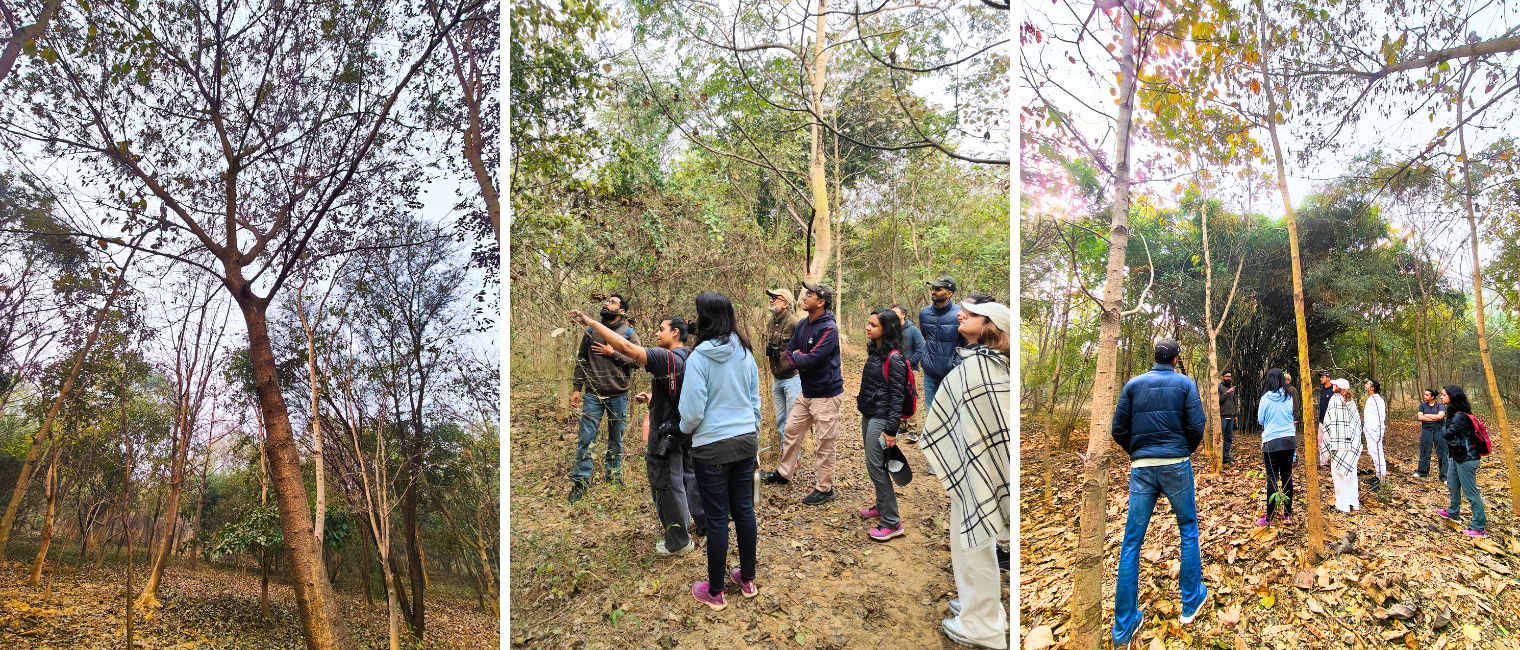 Tree Walk at Tilpath Valley Biodiversity Park