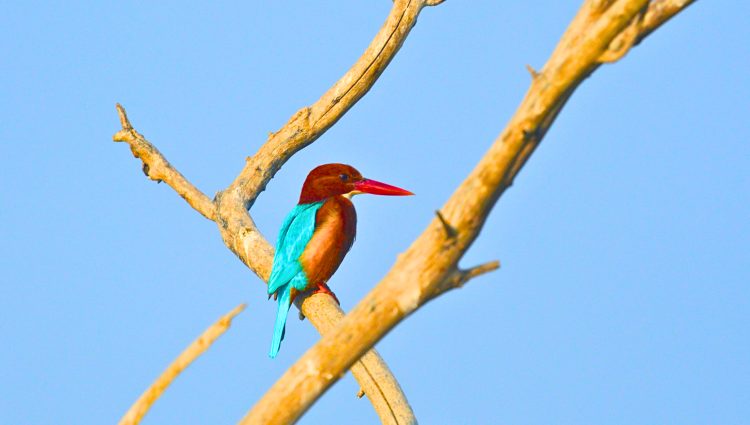 asita-earth-walks-delhi