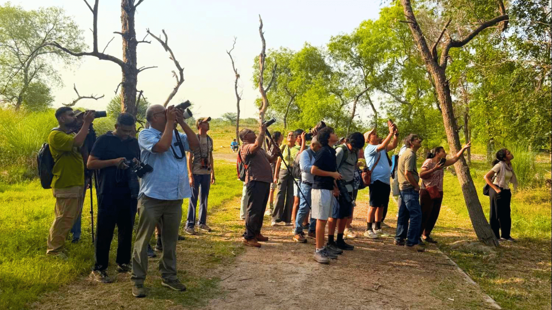 delhi bird photography walk