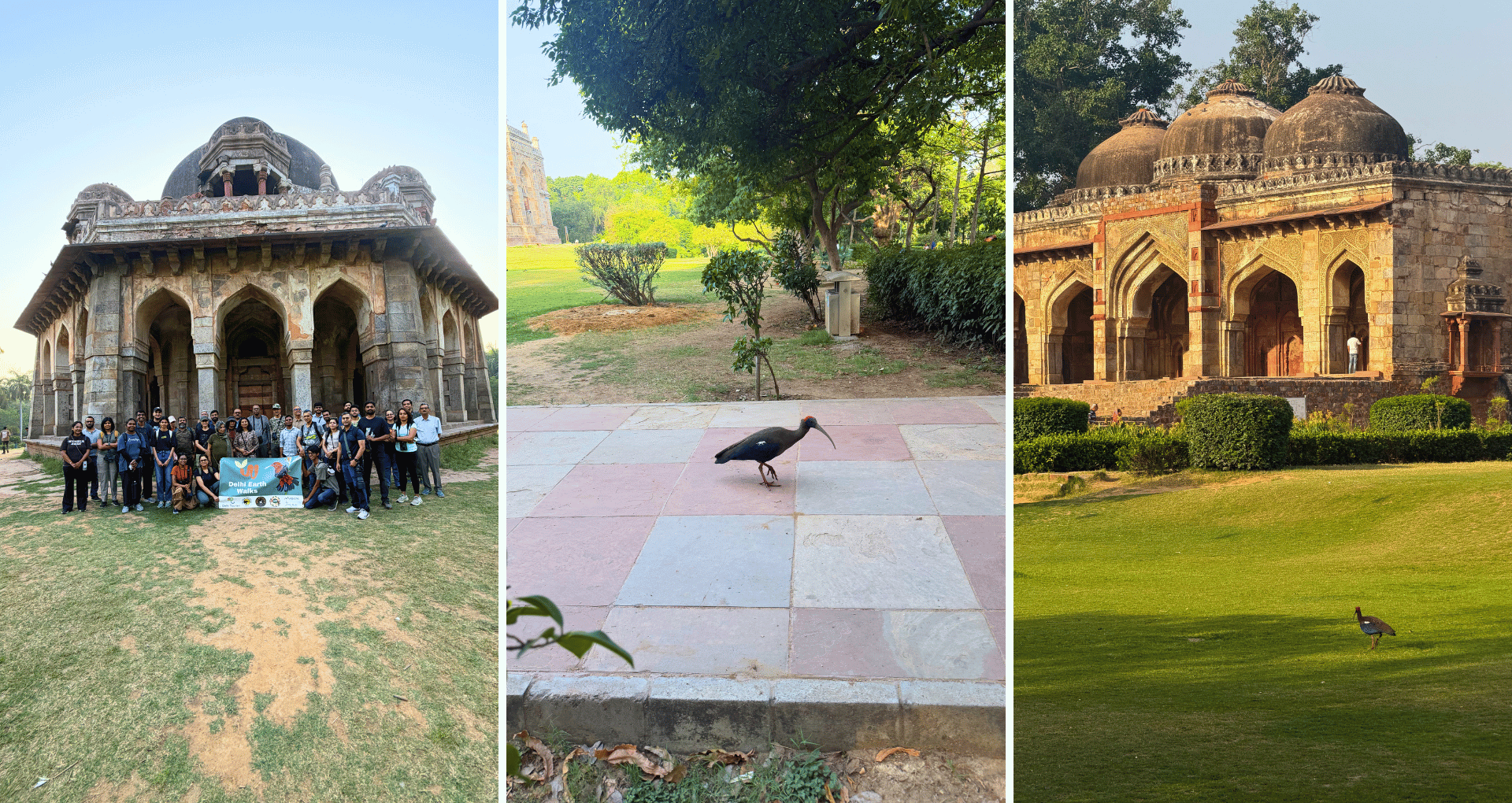 delhi-bird-atlas-walk