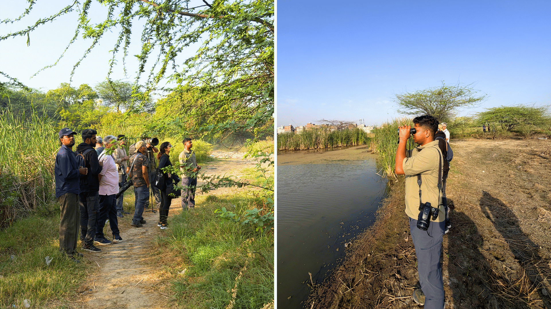 delhi-earth-walks-birdwatching