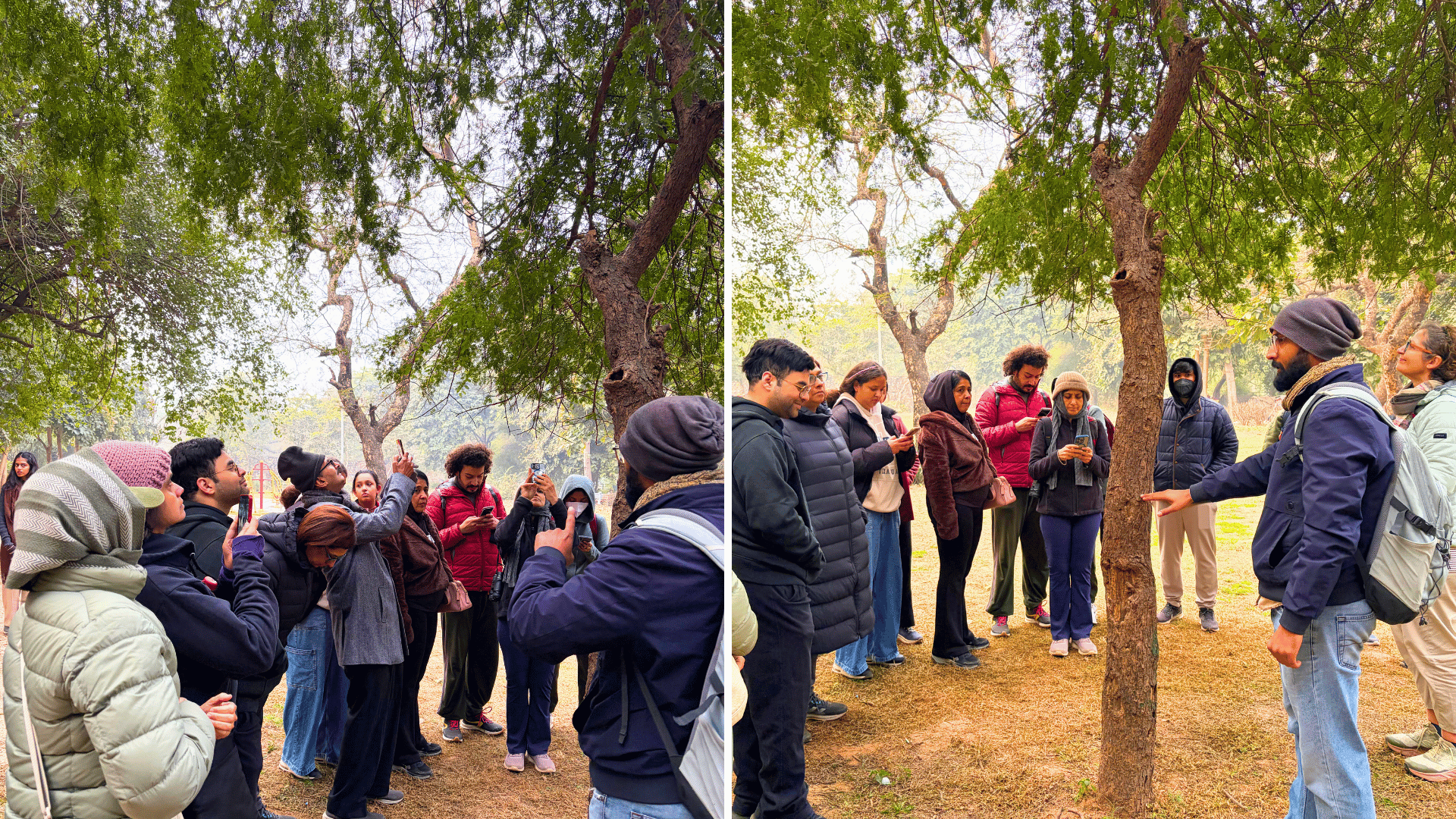 tree-walk-at-mehrauli-park