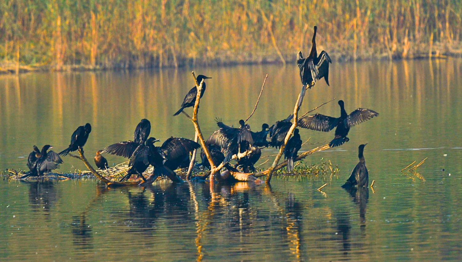 delhi-weekend-nature-activity