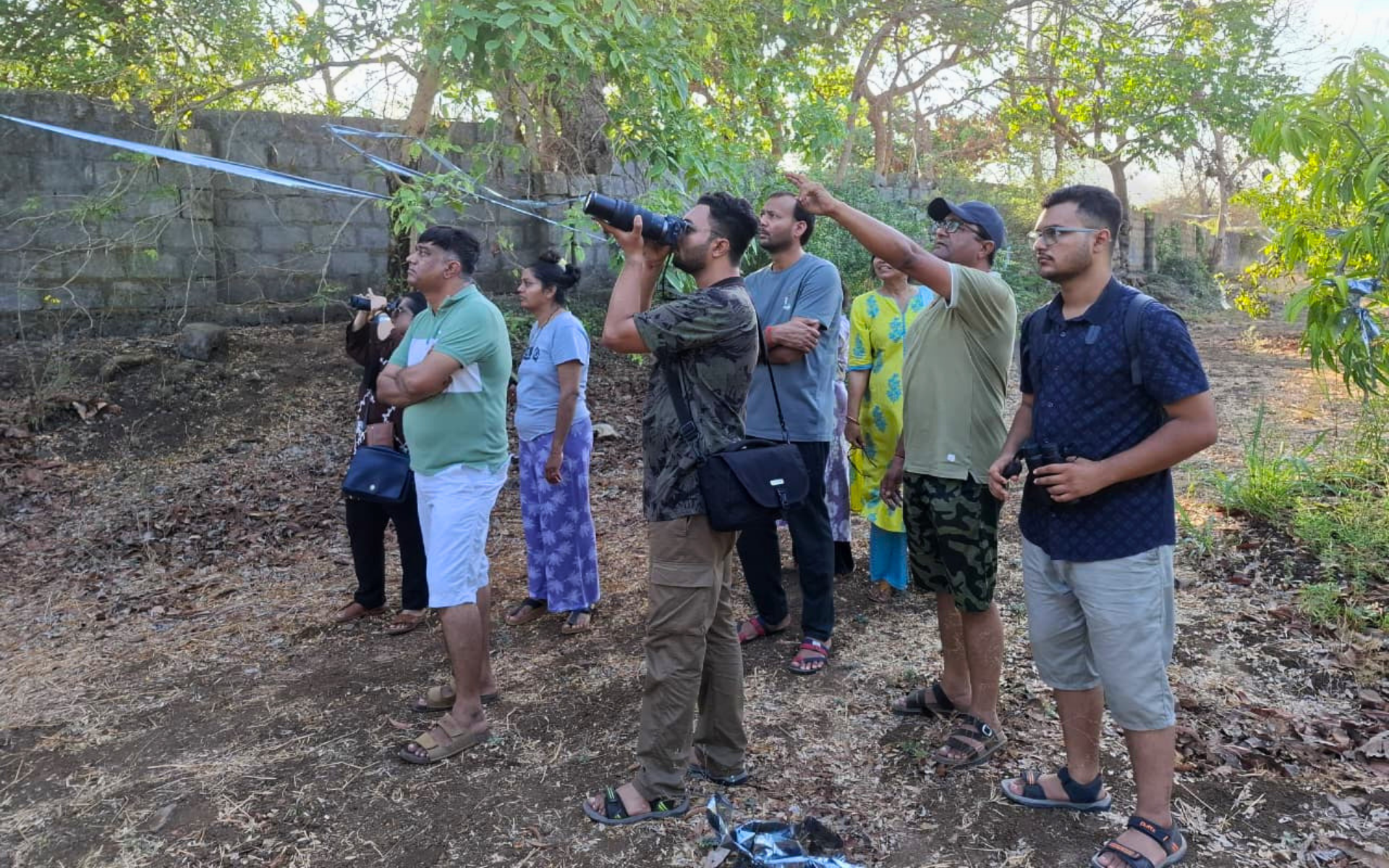 gir summer birding
