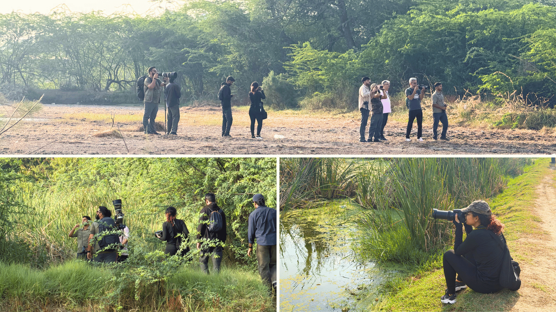 kanjhawala wetlands birding trip