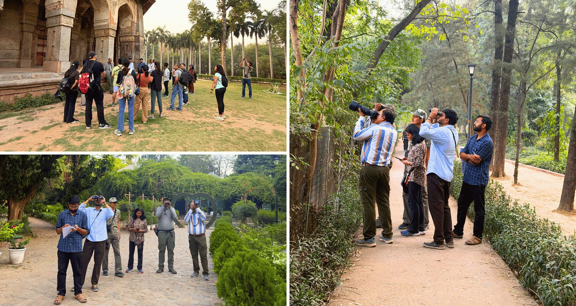 lodhi-garden-bird-walk-delhi