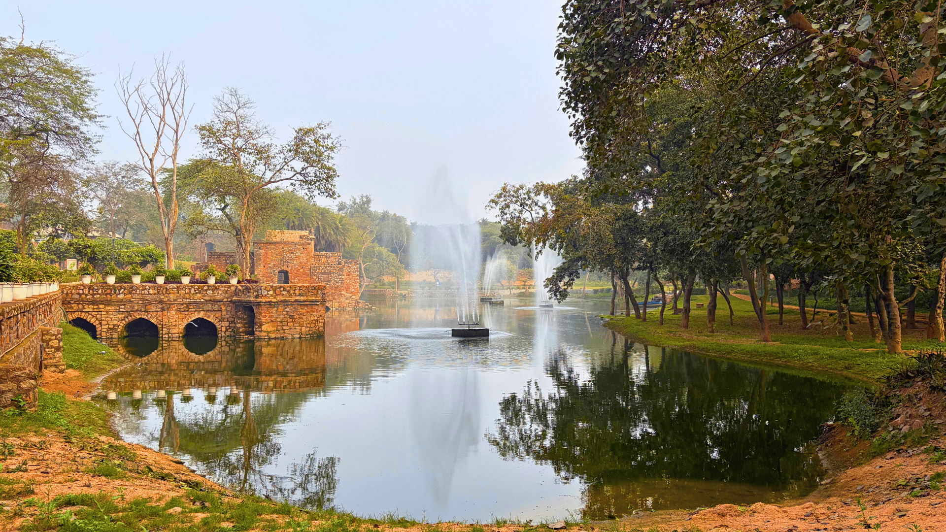 tree-walk-at-mehrauli-park