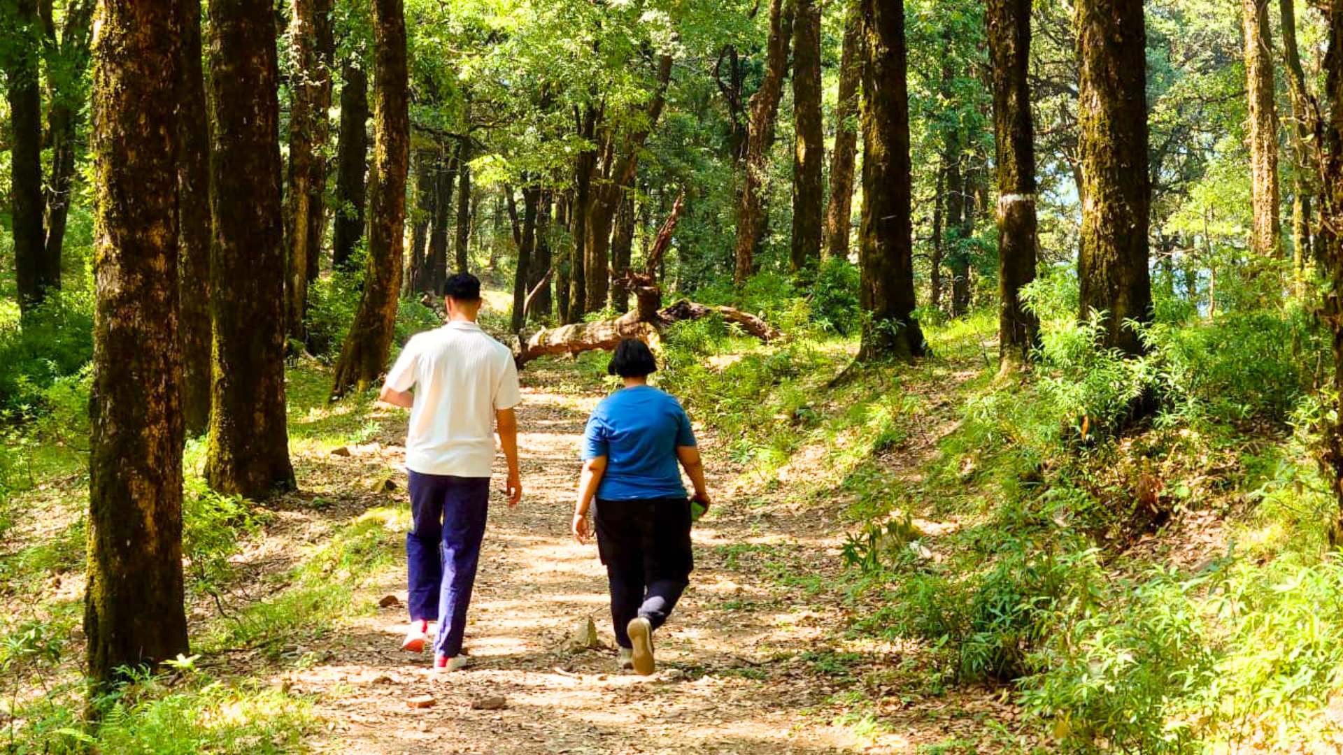 nainital birdwatching tour