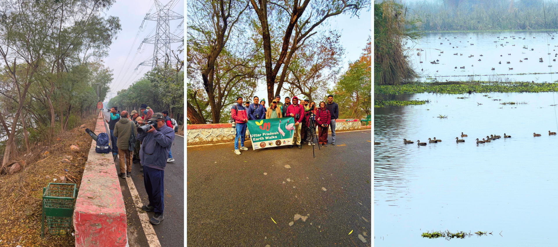 okhla-bird-sanctuary