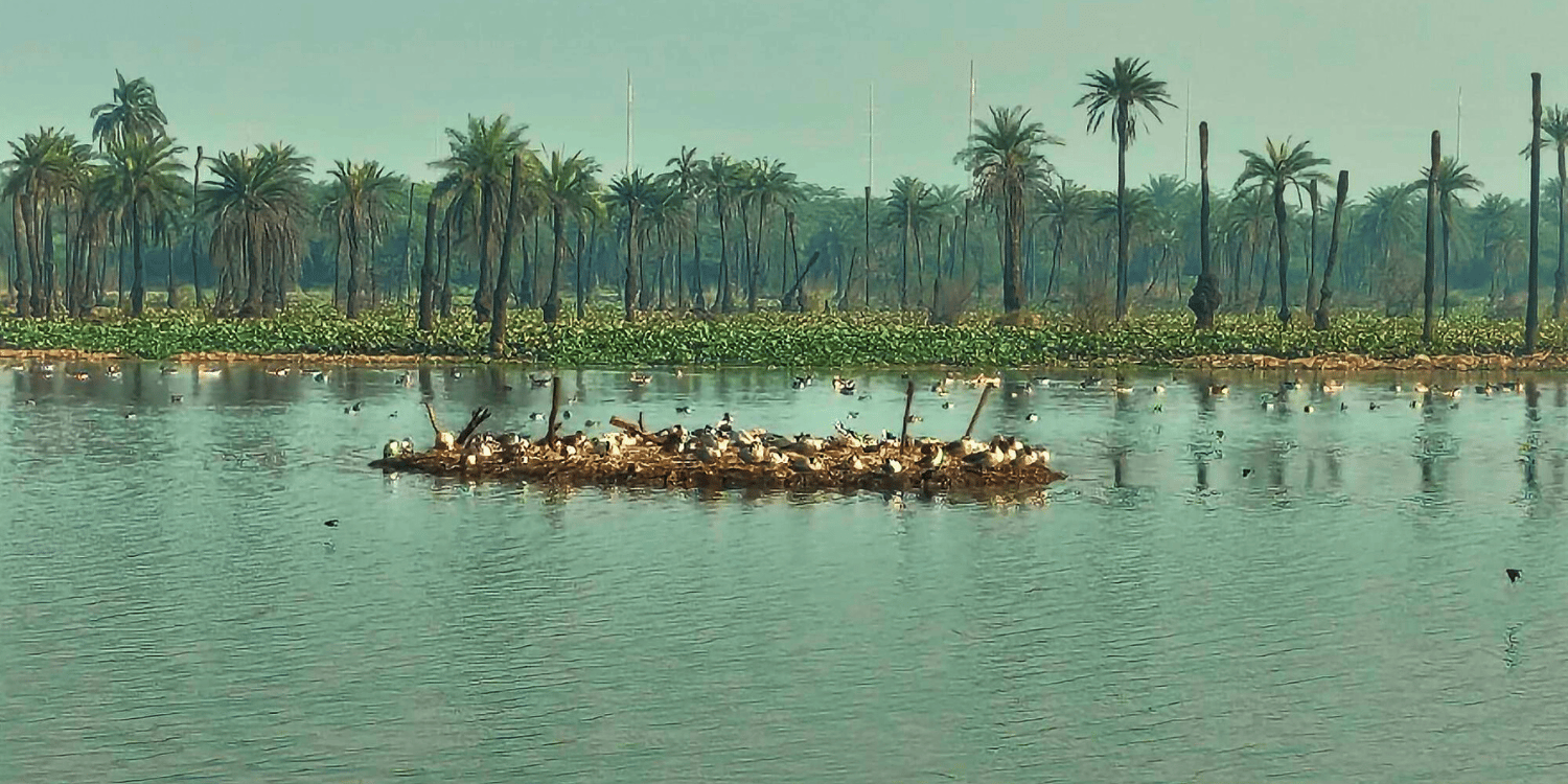 surajpur-bird-sanctuary-walk