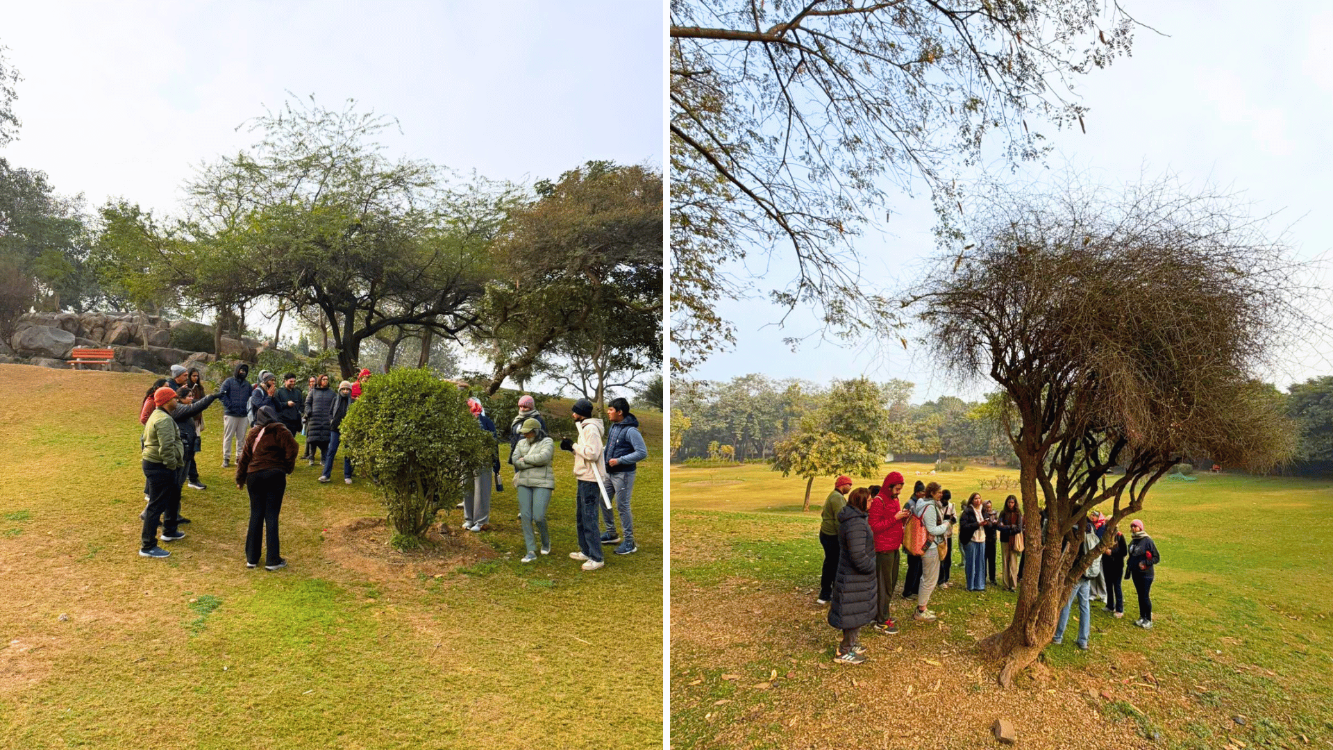mehrauli-archaeological-park-walk
