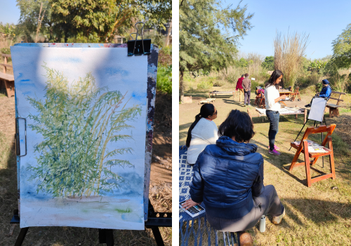 Art & Nature An outdoor painting workshop