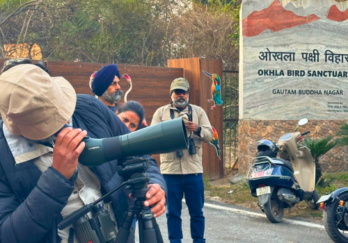 Delhi Earth At Okhla Bird Sanctuary