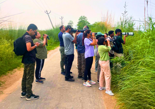 Birding In Chandu Budhera