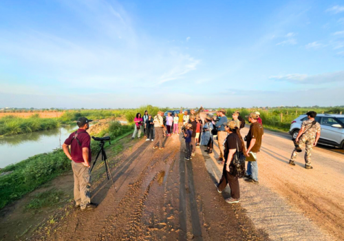 Dhanauri Wetland