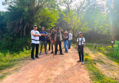 surajpur wetland