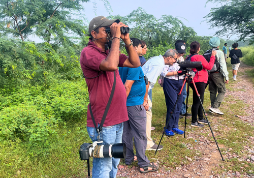 Delhi Earth Walks