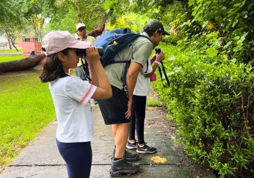 Monsoon Bird Walk 