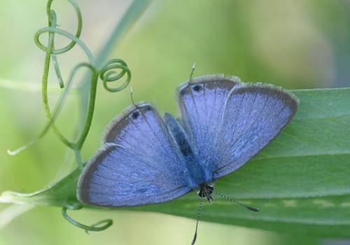 weekend-nature-in-walks-delhi