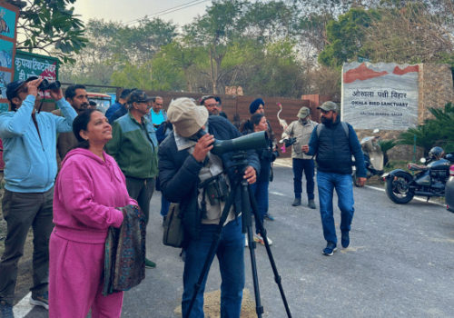 Bird Watchin Near Delhi