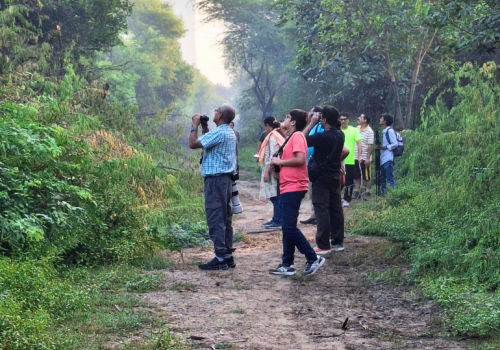 Riparian habitat birds India