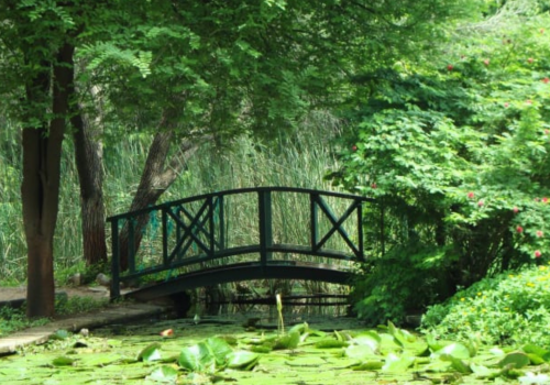 Law Garden ahmedabad