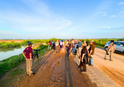 Earth Walks In Dhanauri Wetlands