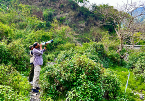 Jungle Lore Birding Lodge Nature