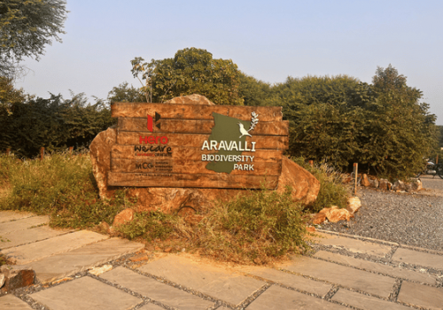 aravali-biodiversity-park