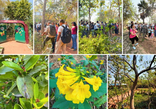 asola-bhatti-wildlife-sanctuary-walk