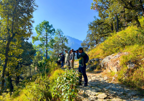 earth-walks-in-pangot