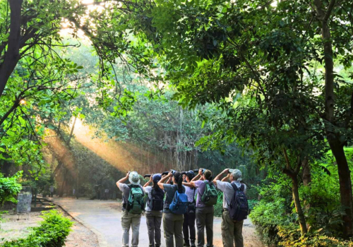 nature-walk-in-delhi