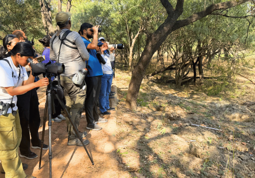 sultanpur-national-park