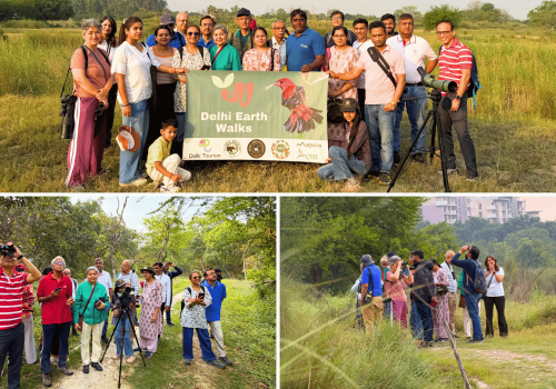 amrut-biodiversity-park-delhi