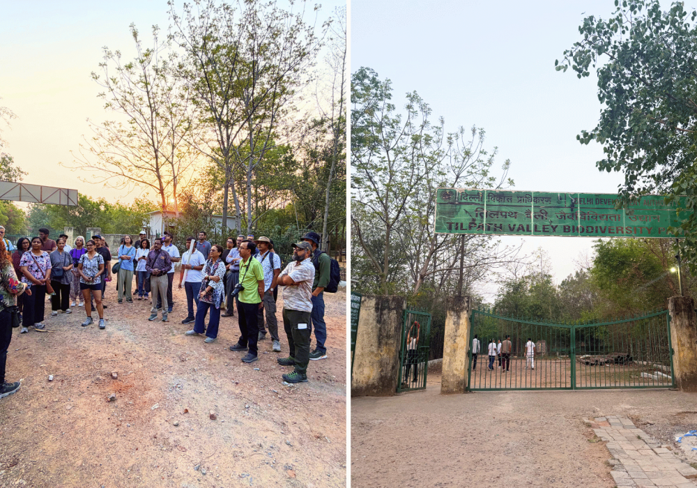 Asola Tilpath Birding Walk