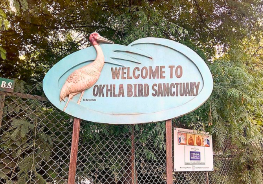Book Okhla Bird Walk