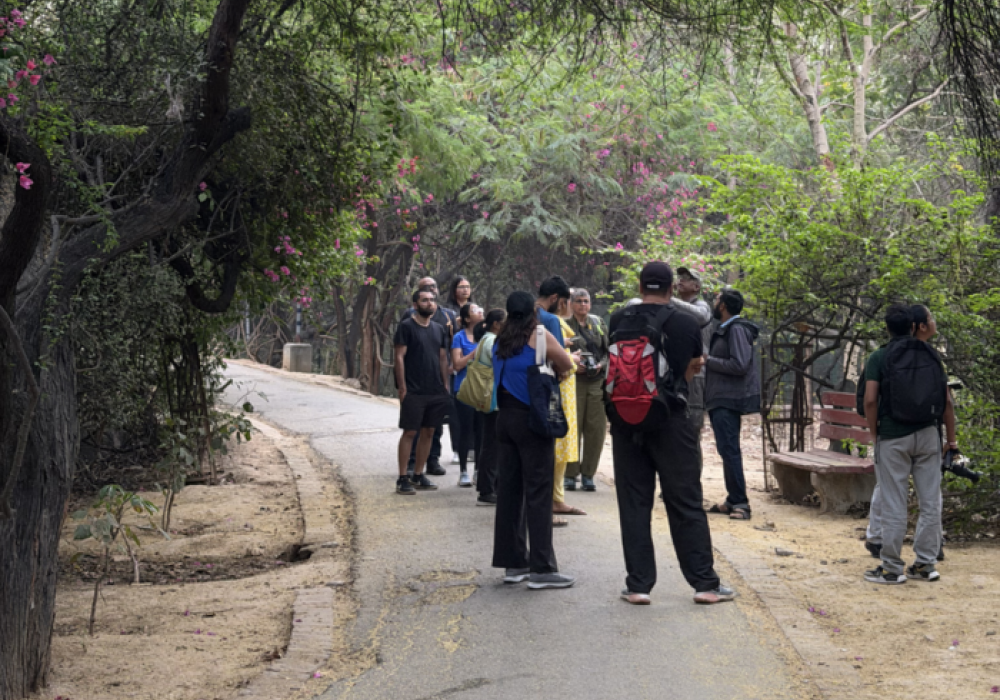 Earth Walks In Delhi