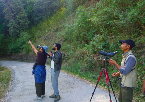 bird-photography-pangot-earth-walks