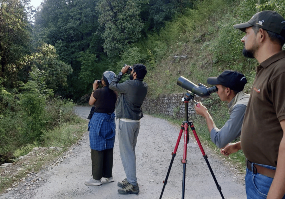 birdwatching-in-pangot